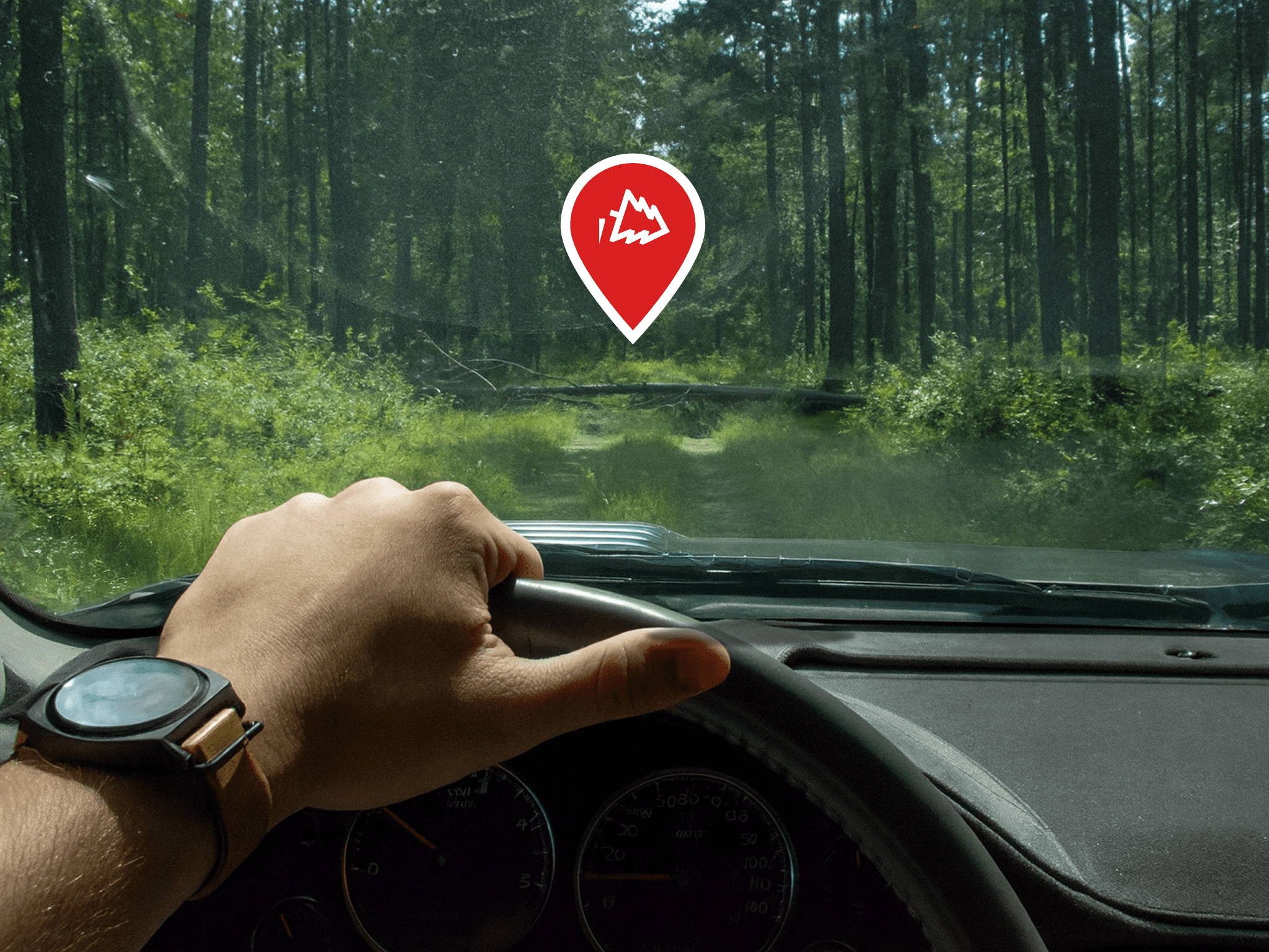 Person in cab with downed tree ahead on trail